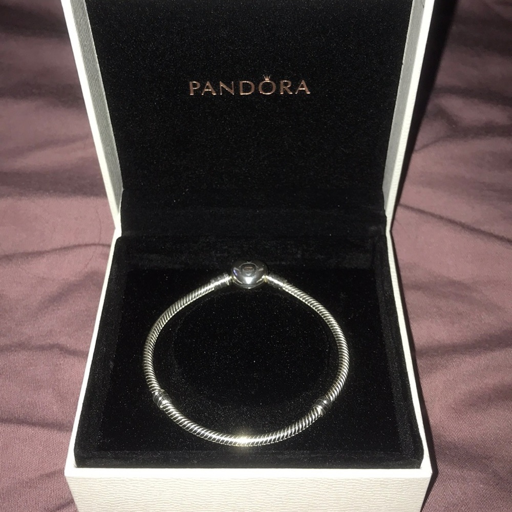 Pandora Charm Bracelet